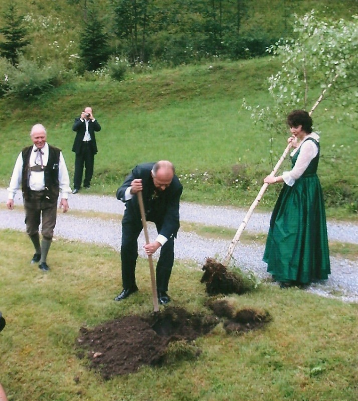 Haberleitner Baum